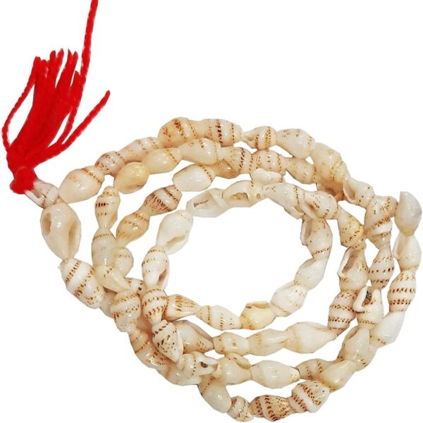 शंख माला (Sankh Mala)