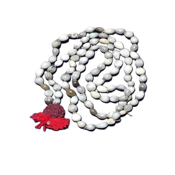 वैजयंती माला (Vaijayanti Mala)